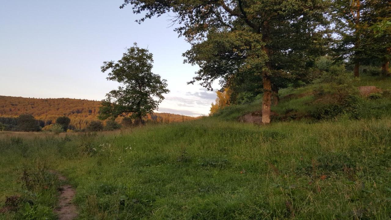Ma Roulotte Sous Les Chenes- Au Naturel Raon-aux-Bois Exterior foto